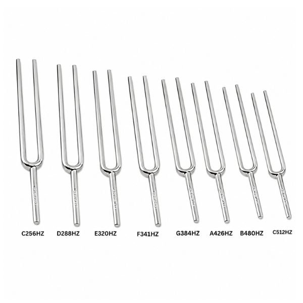 Tuning Fork Set with 8 metal forks arranged in case showing different frequency sizes