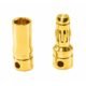 3.5mm Gold Bullet Plug Pair Motor ESC Brass front view